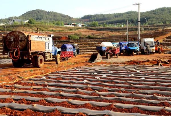 爱喜(幻变1mg)总仓批发，爱喜(幻变1mg)多少钱一盒2024？