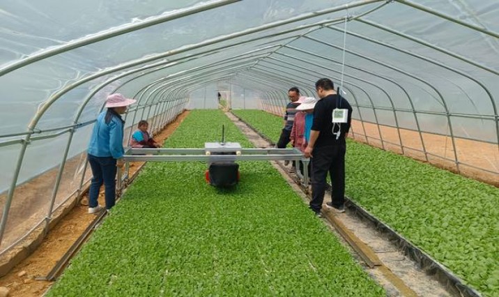 雪莲天韵多少钱一盒2024？雪莲天韵价格查询 