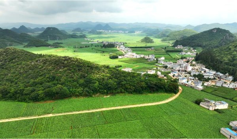 万宝路(黑醇迪拜版)一手批发，万宝路(黑醇迪拜版)价格查询