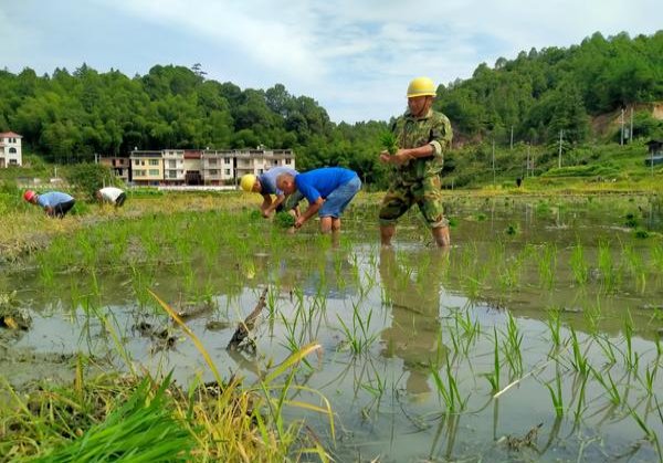 钓鱼台(蓝)批发多少钱？钓鱼台(蓝)香烟价格表2024