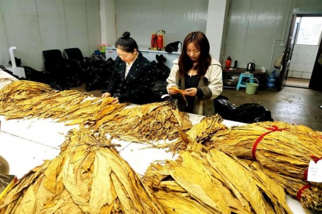 鸭绿江(细支)一手渠道，鸭绿江(细支)什么价格？