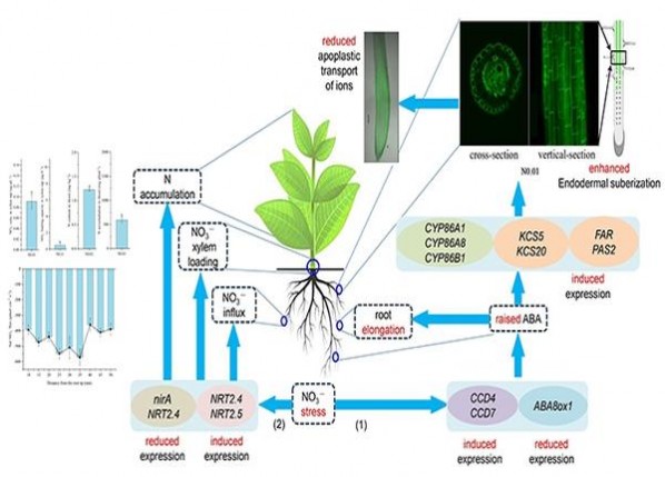 重大来袭！peel烟是什么烟厂的“风雨同舟”