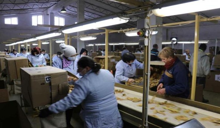 庐山(鸿运)价格表一览 庐山(鸿运)图片及价格 