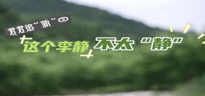 双喜(红火好日子)厂家直销，双喜(红火好日子)多少钱一盒？
