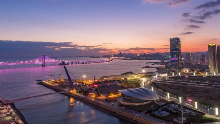 真龙(炫净)厂家直销，真龙(炫净)多少钱一盒2024？