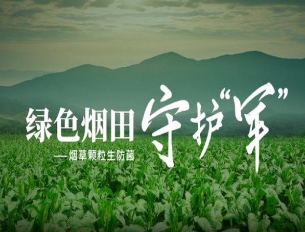 百乐蜘蛛价格查询 百乐蜘蛛价钱批发 