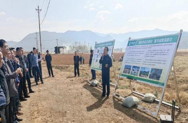 钻石(微时代)价格查询 钻石(微时代)香烟价格 