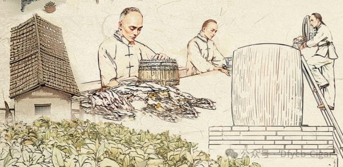 三五(双冰)批发，三五(双冰)价钱批发