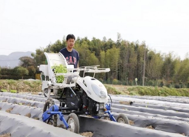 重大来袭！百乐peel哪里能买单包的“俯首听命”