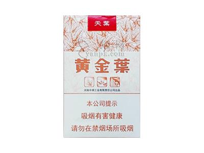 黄金叶(天叶)多少钱一盒2025？黄金叶(天叶)批发价格是多少？