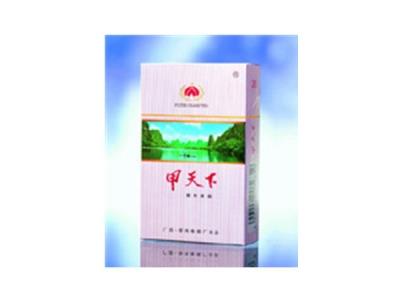 甲天下(醇和一星)香烟价格 甲天下(醇和一星)图片及价格 