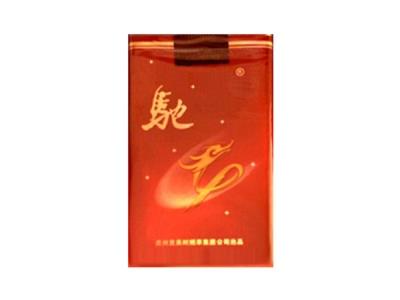 驰(精品软)香烟正品价格表 驰(精品软)香烟正品价格表 