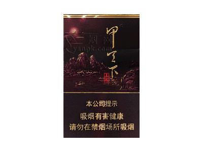 真龙(甲天下硬)价格参数，真龙(甲天下硬)2026最新价格