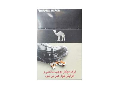 骆驼(硬黑伊朗含税版)多少钱一盒2026？骆驼(硬黑伊朗含税版)价格表图一览表