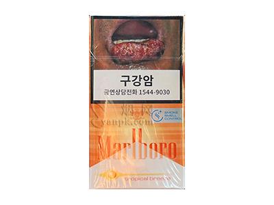 万宝路(热带风味韩版)多少钱一盒？万宝路(热带风味韩版)香烟价格表2026