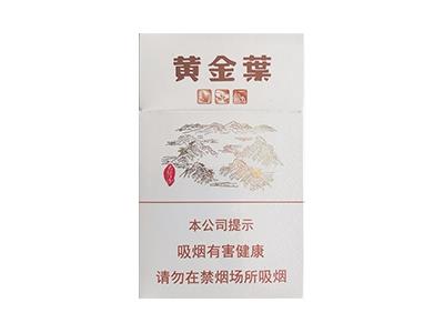 黄金叶(太行山)价格表和图片，黄金叶(太行山)2026价格