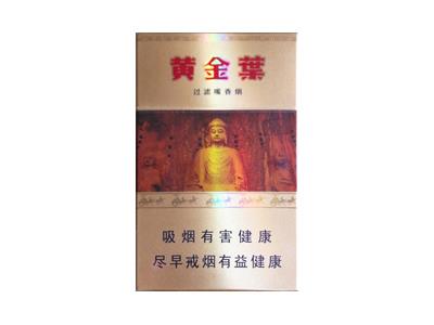 黄金叶(龙门)价格表一览，黄金叶(龙门)批发价格是多少？
